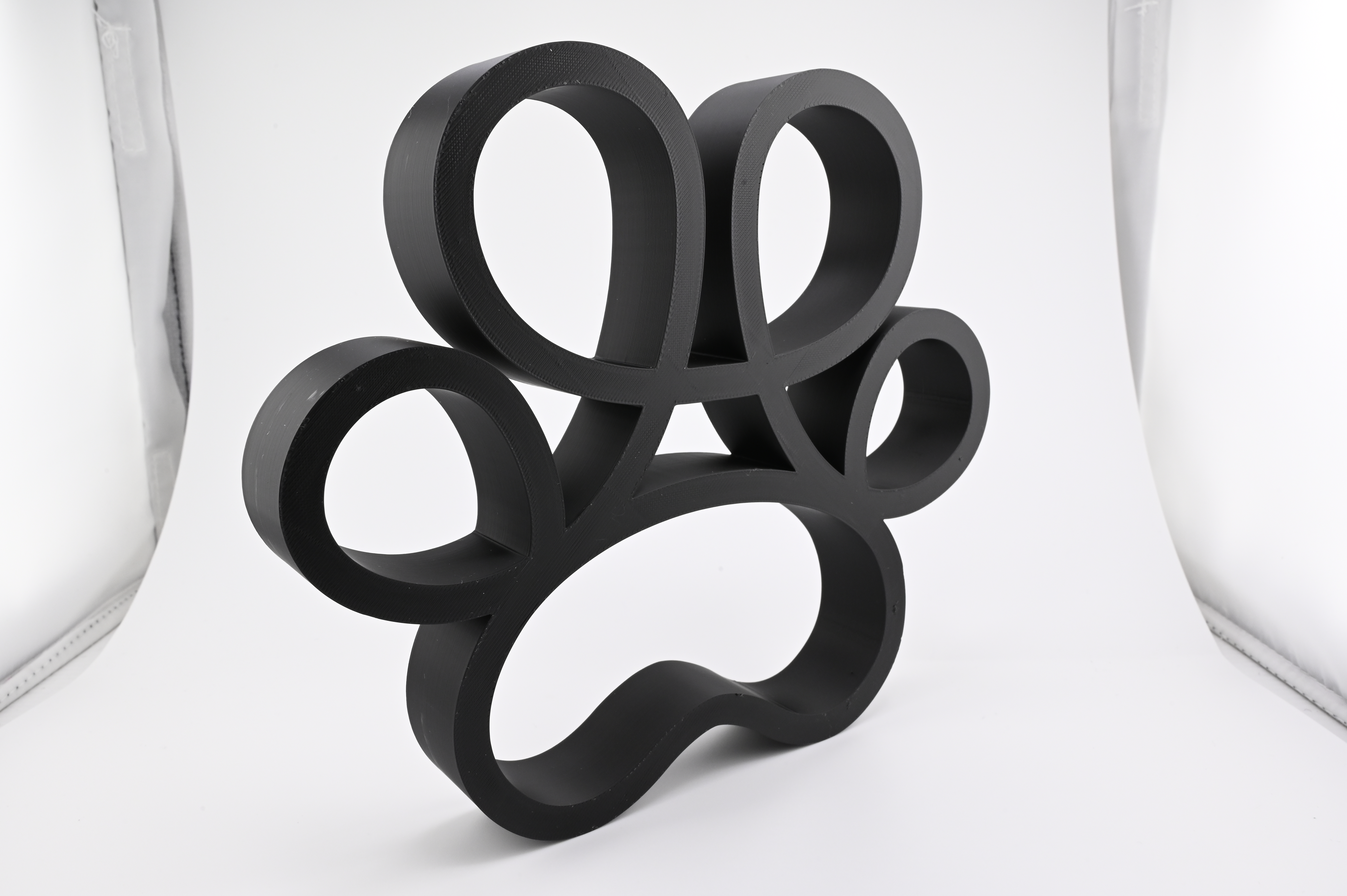 Curly Cat Paw — three quarter