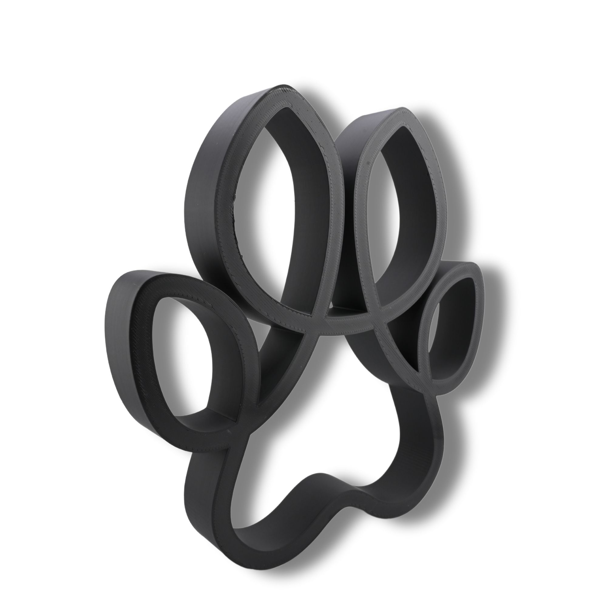 Curved Canine Paw — three quarter