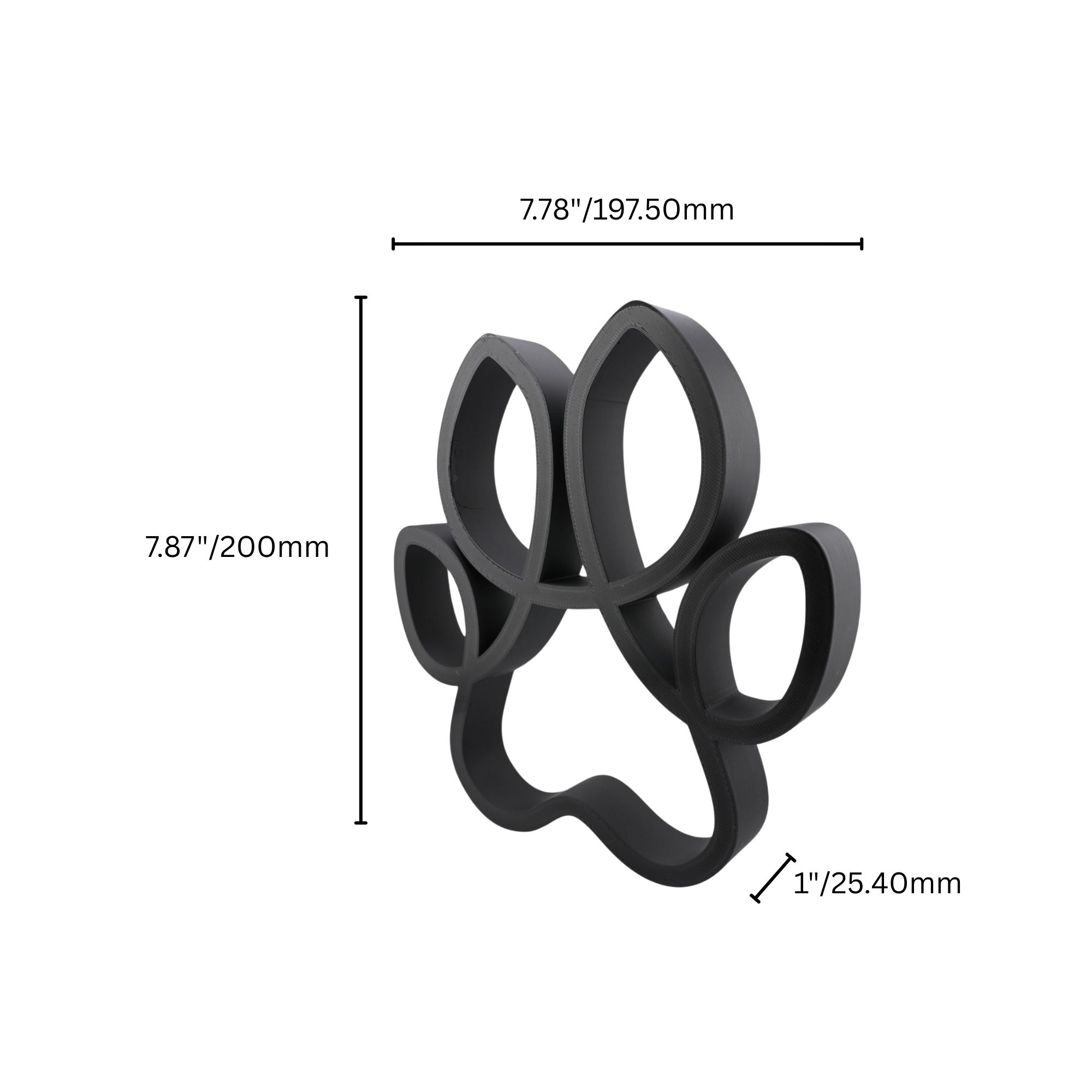Curved Canine Paw — dimension