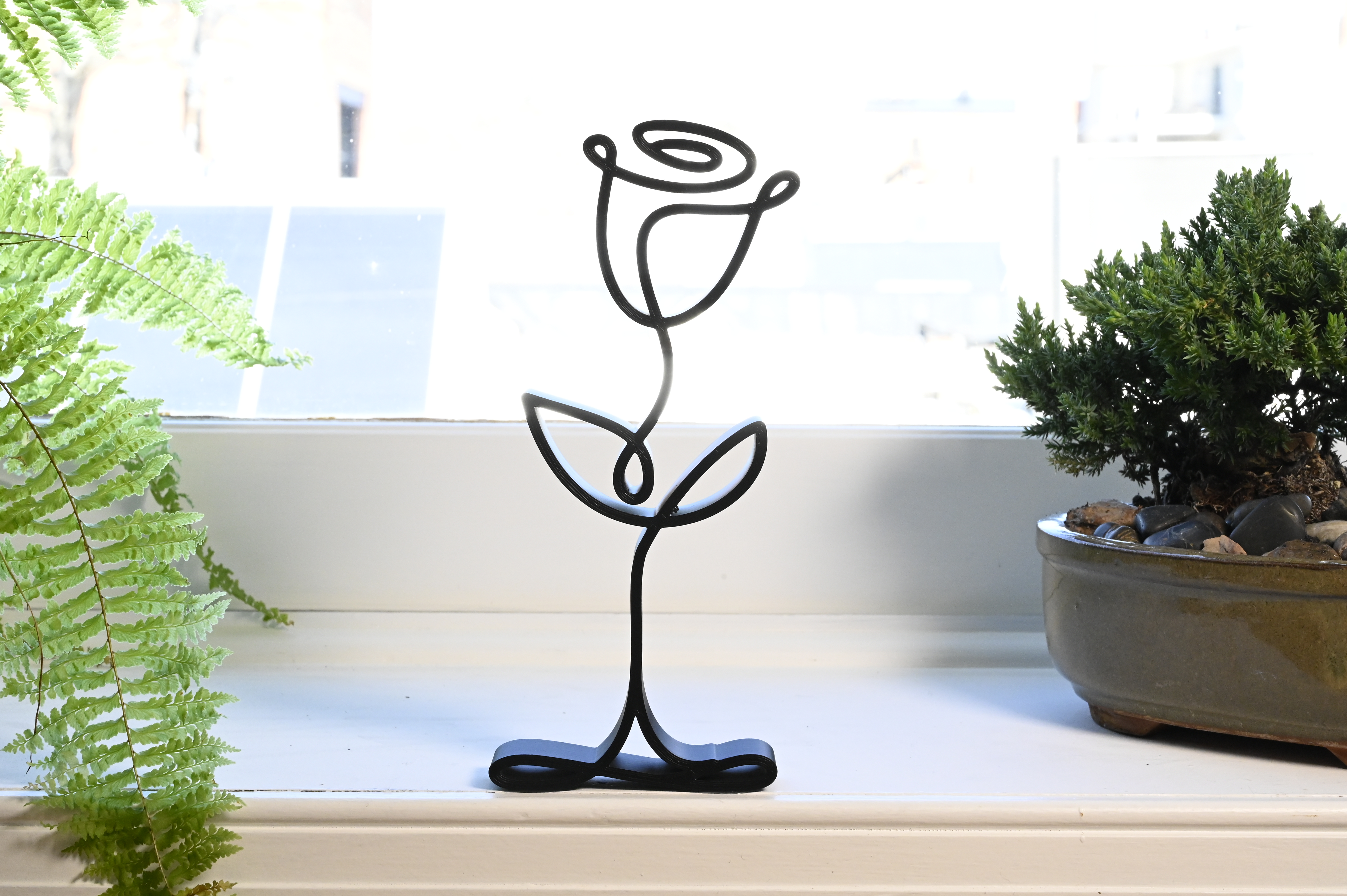 Classic Rose — extra 1