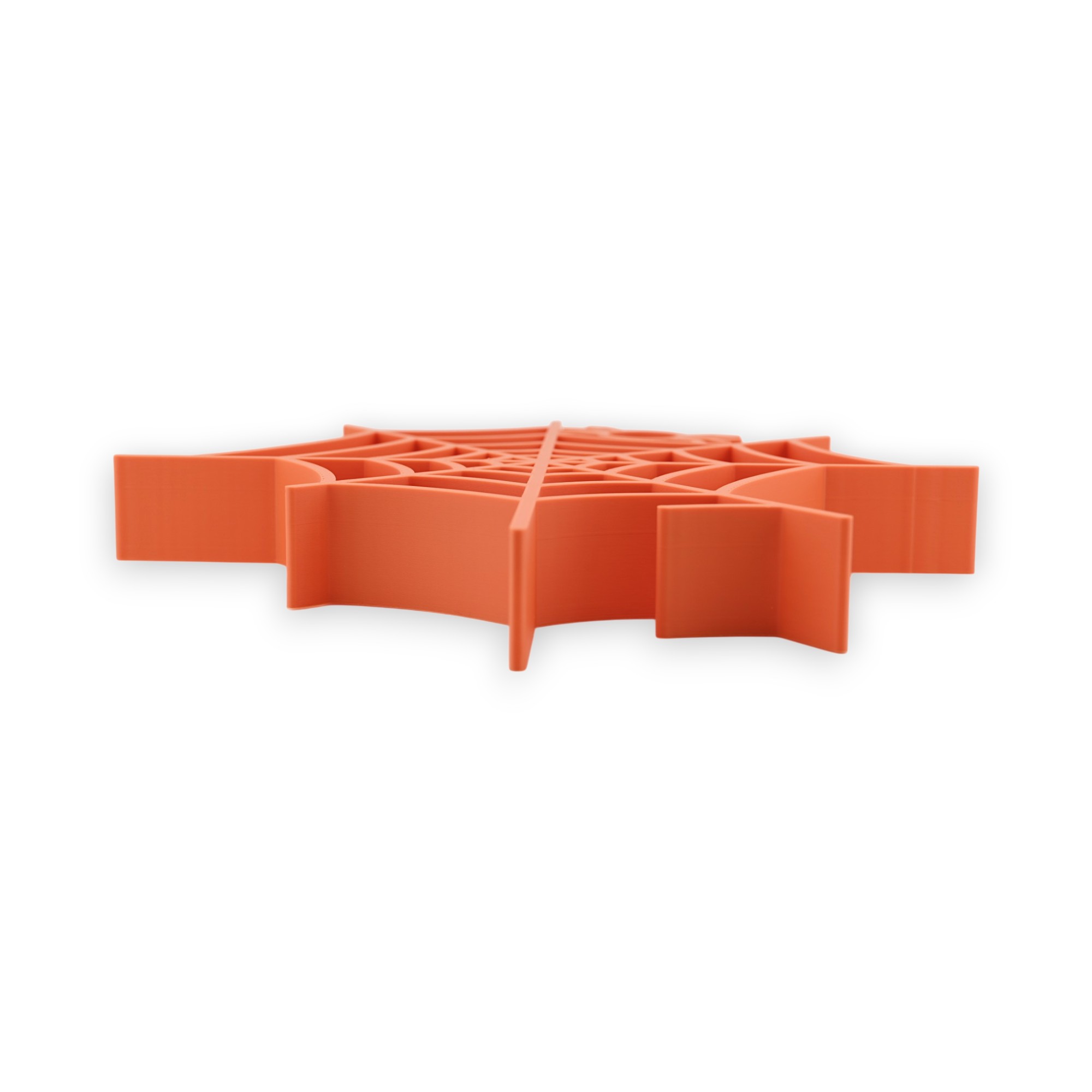 Spider Web [ORANGE] — flat