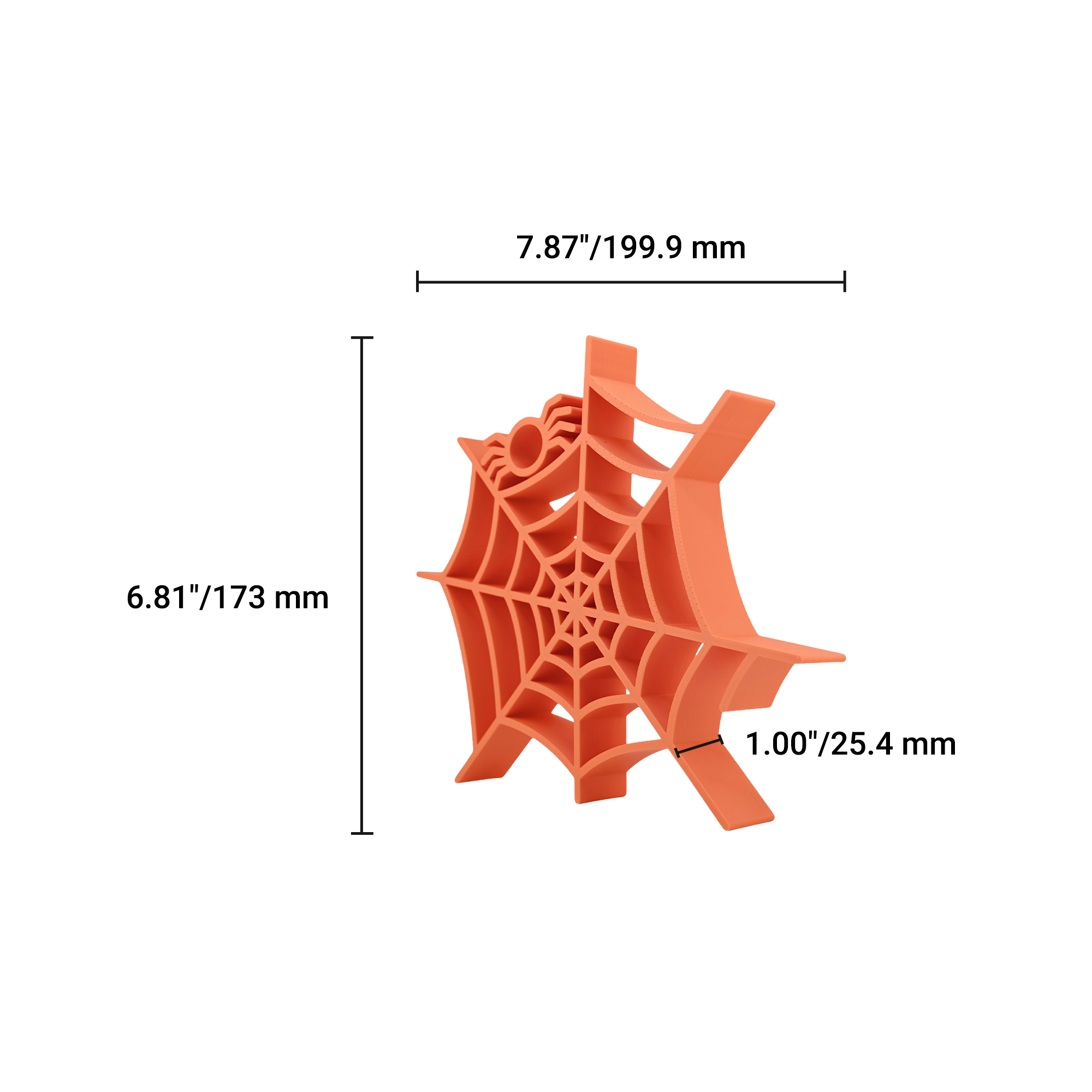Spider Web [ORANGE] — dimension