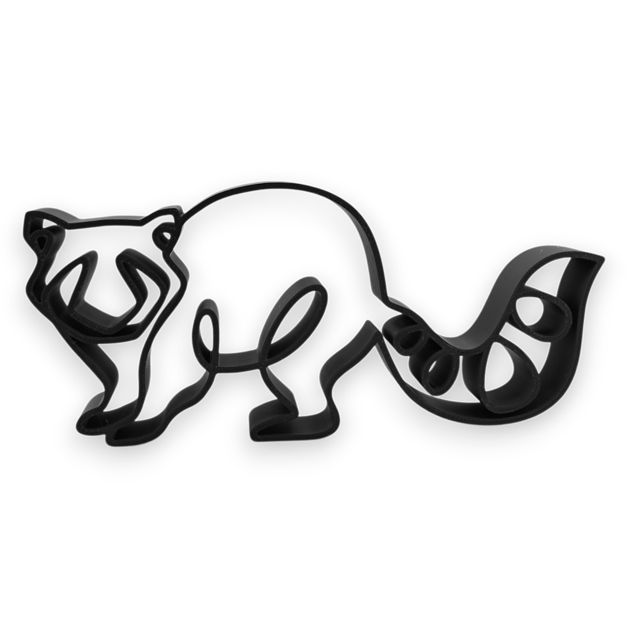 Swirly Tail Raccoon — front