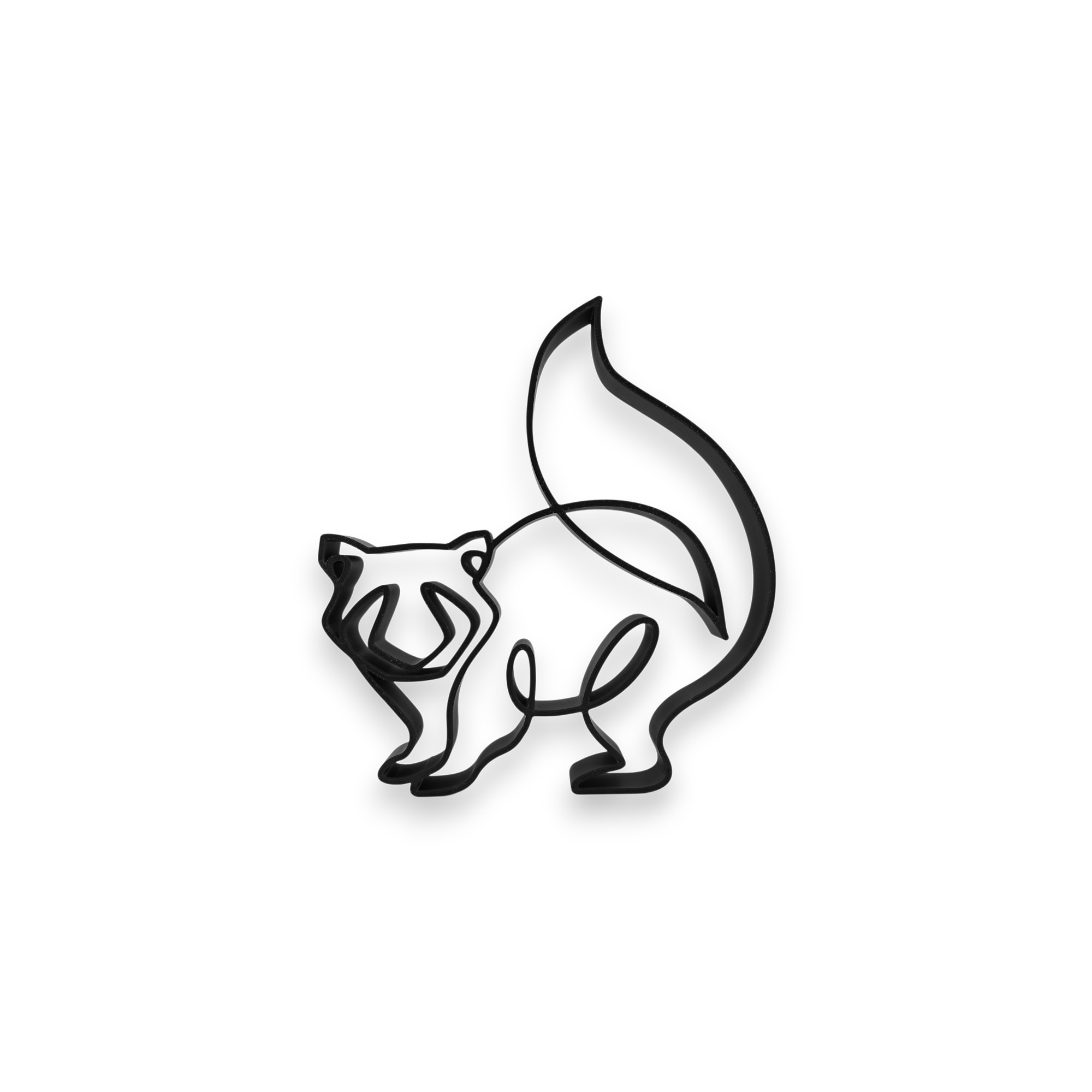 Tall Line Raccoon — front