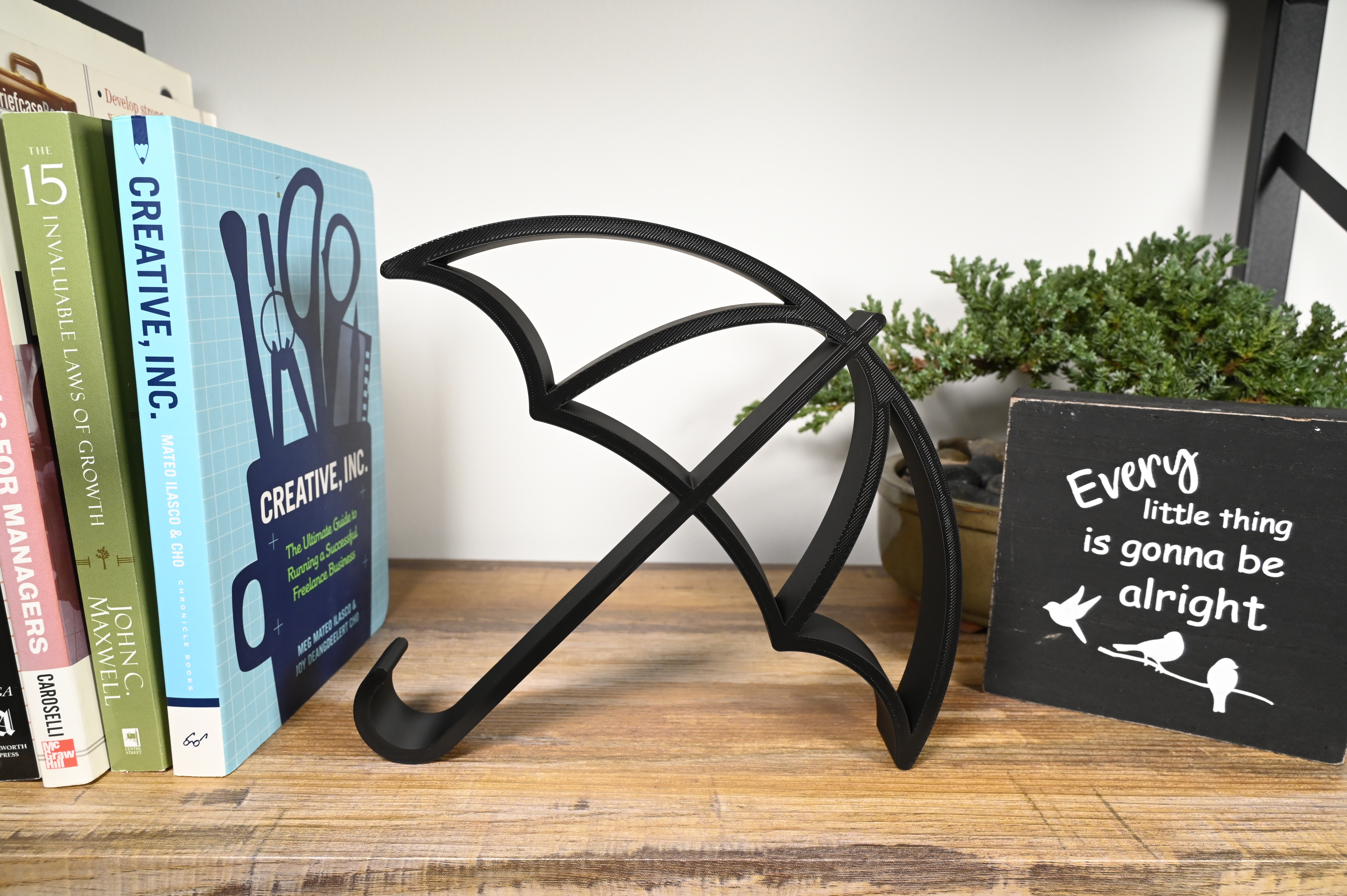 Open Umbrella — extra 1