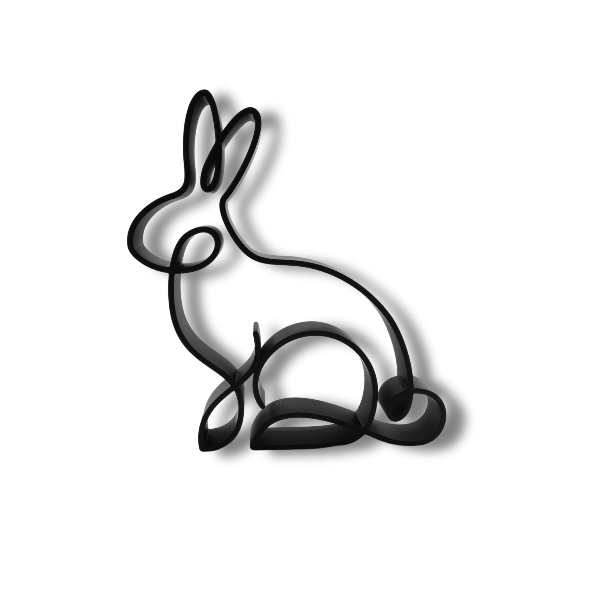 Timeless Rabbit — front