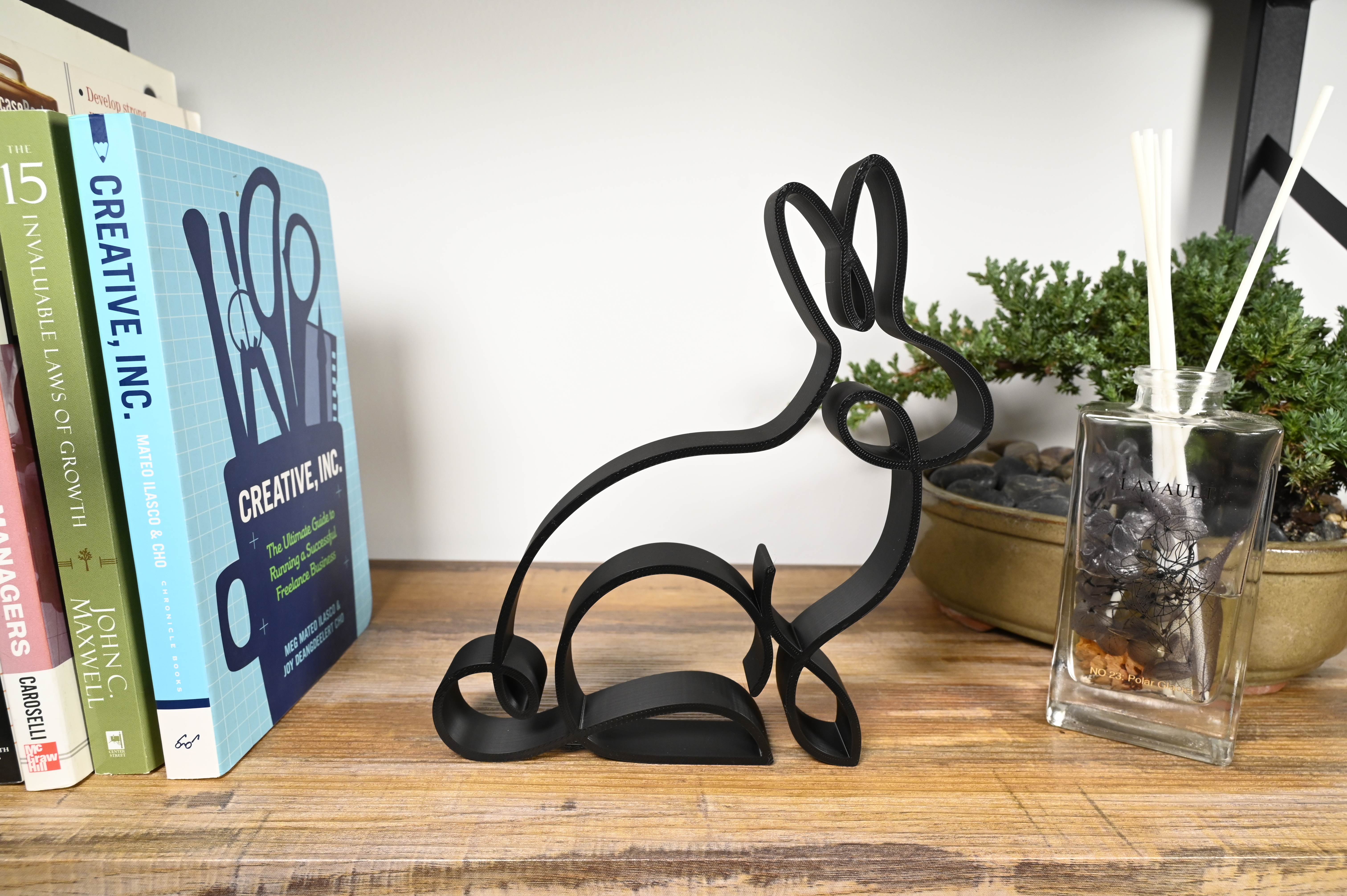 Timeless Rabbit — extra 1