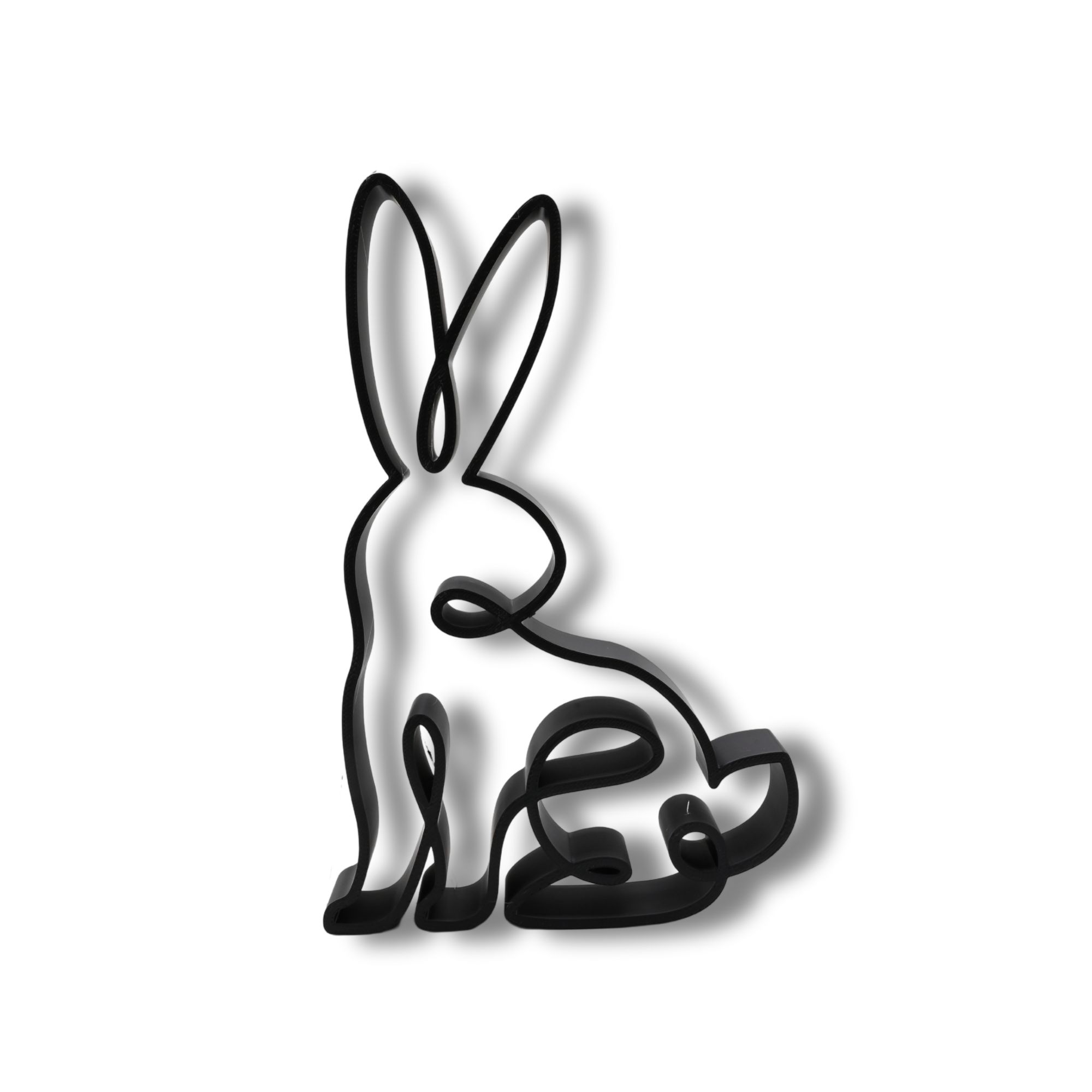 Curious Rabbit — front