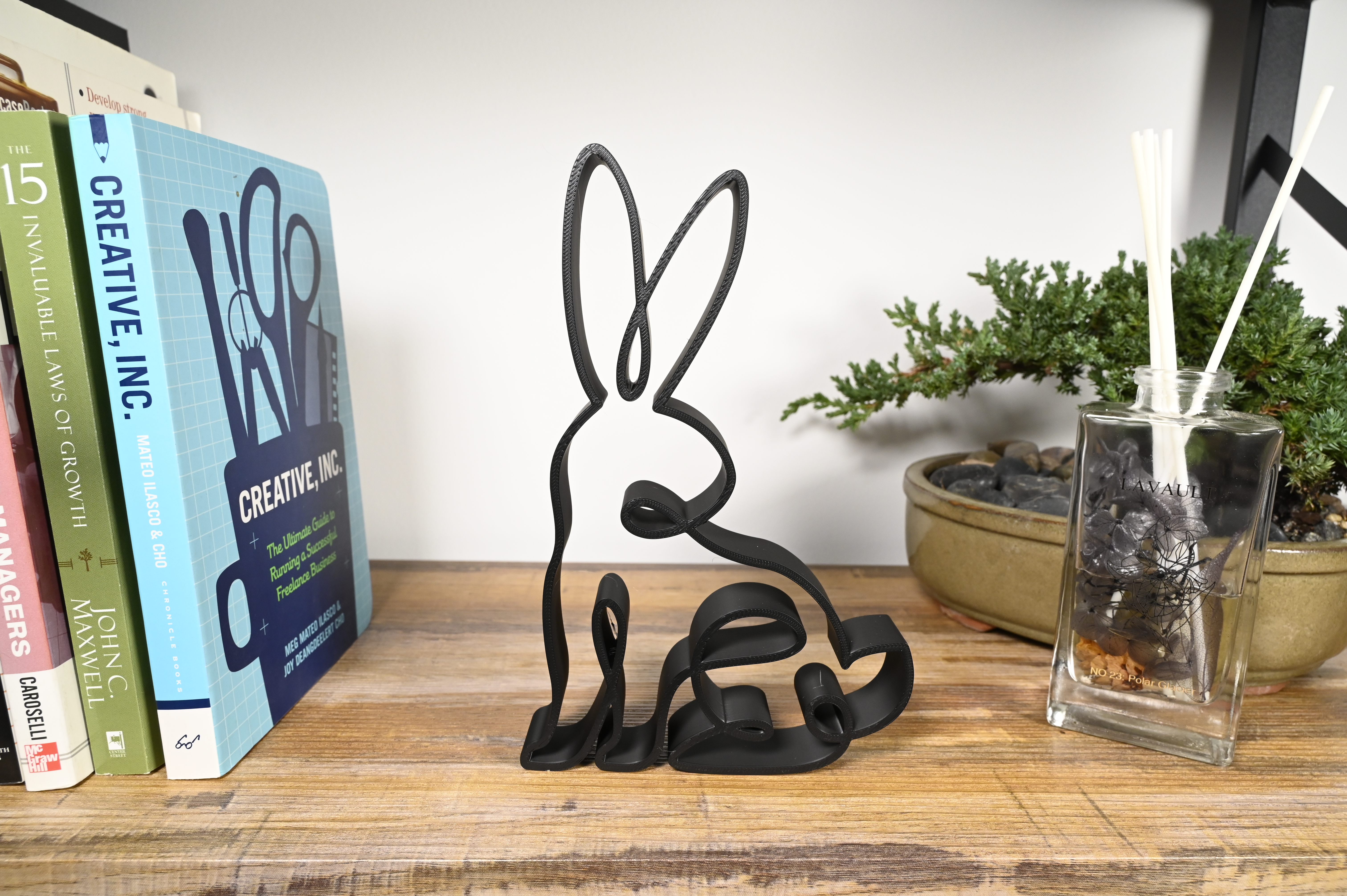 Curious Rabbit — extra 1