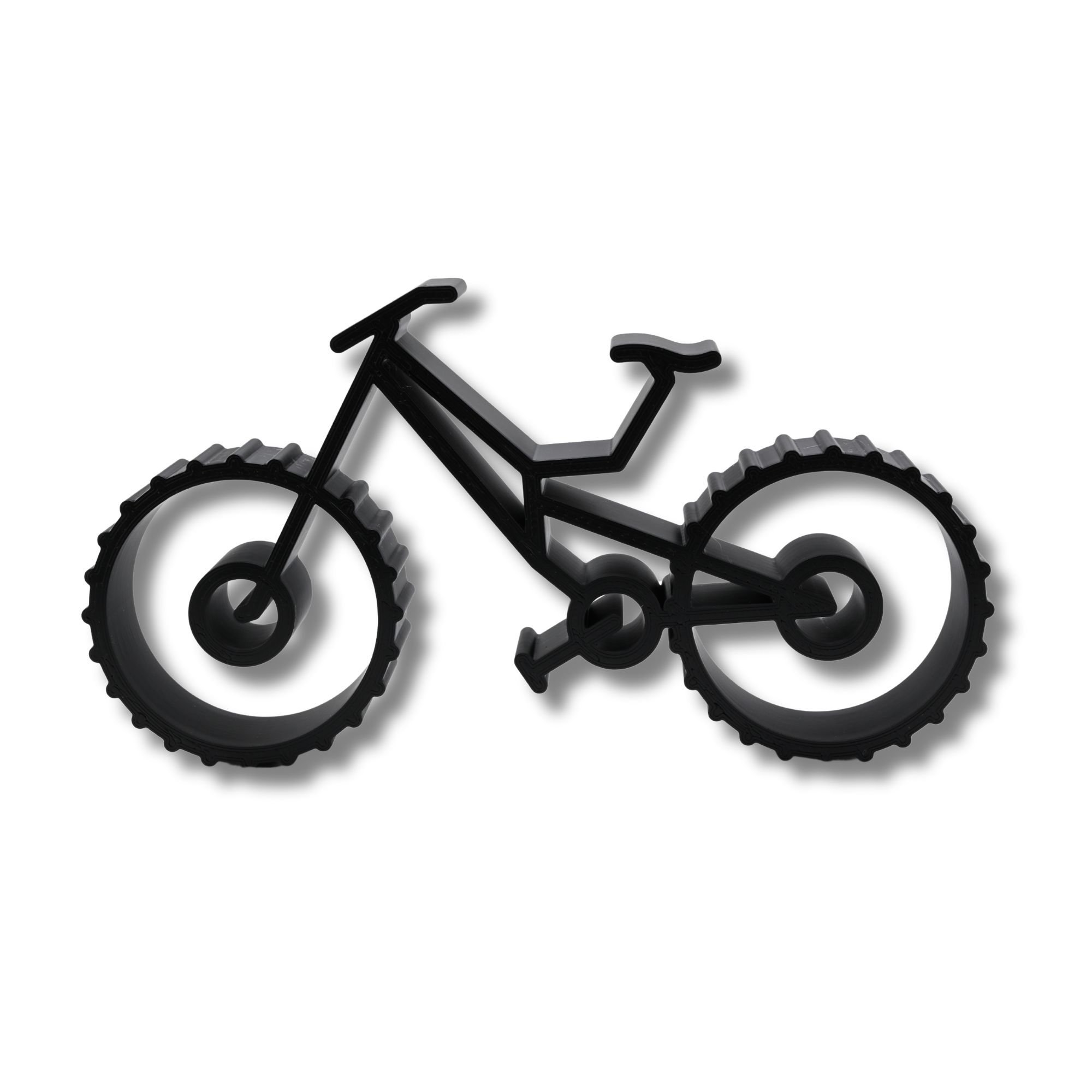 Downhill Mountain Bike — front
