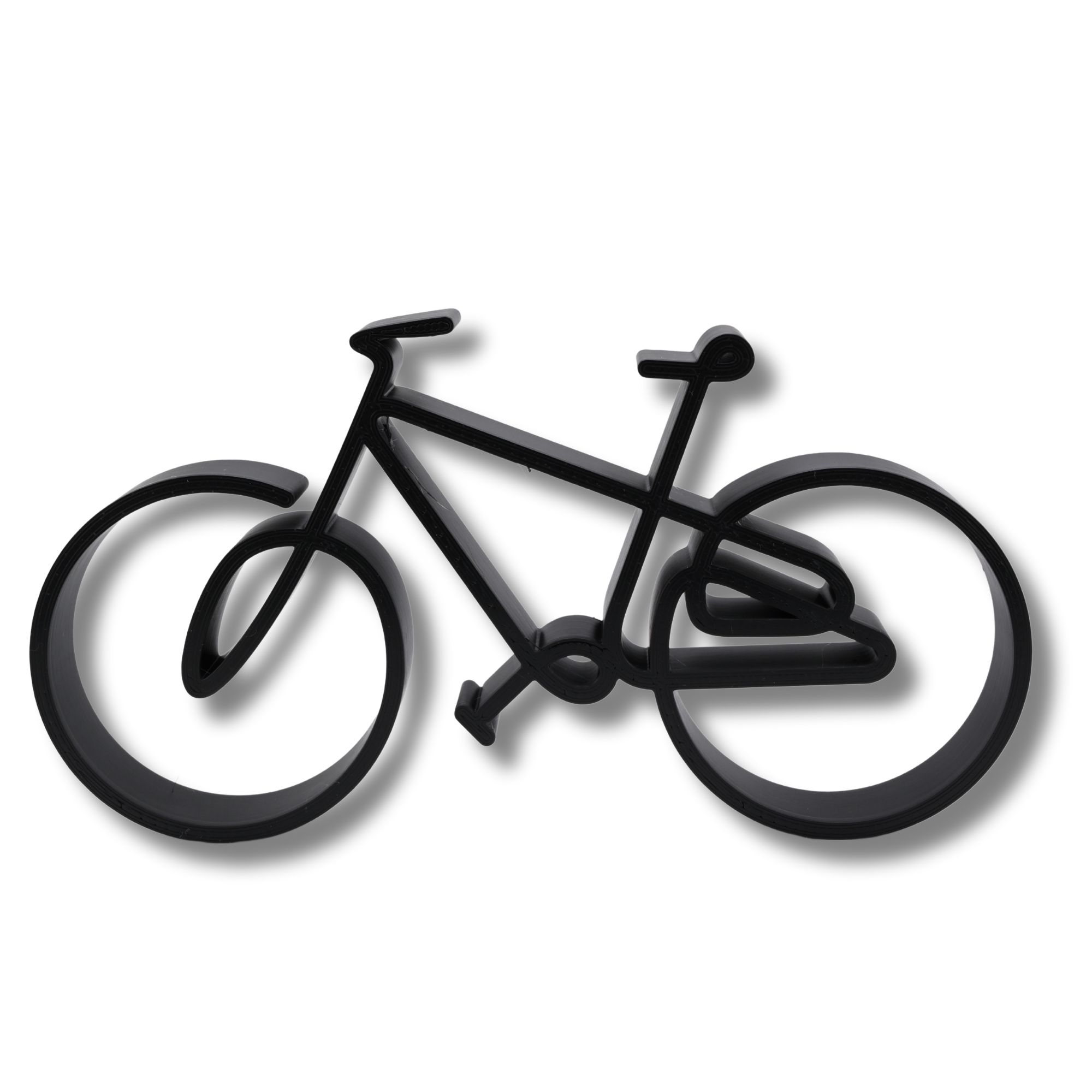 Family Bike — extra 1