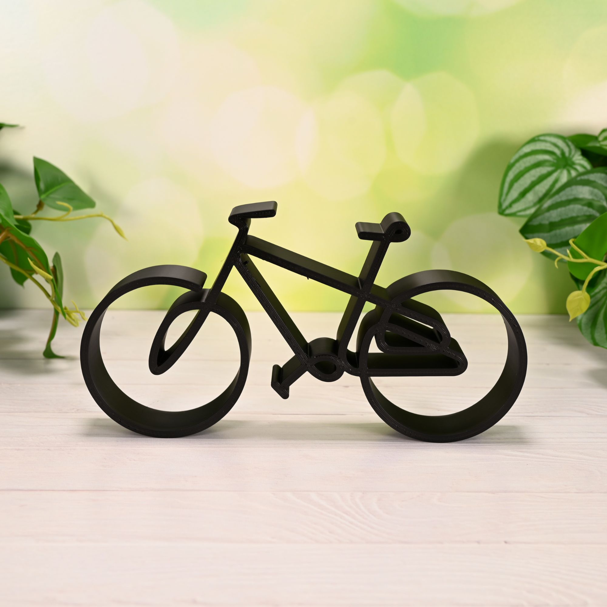 Family Bike — extra 3