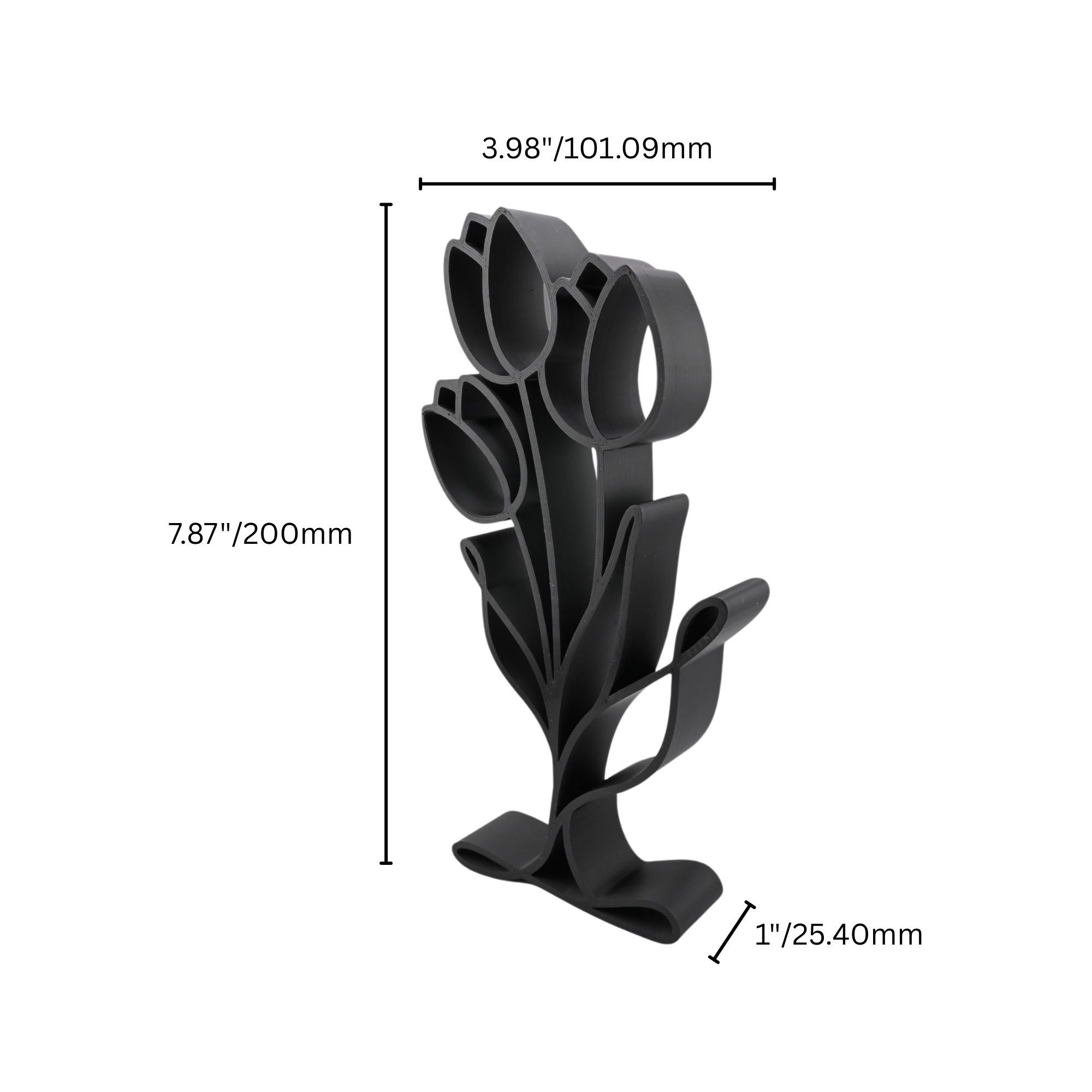 Blooming Lily — dimension